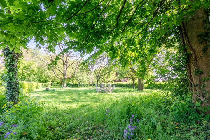 Foto 3 van Grootgenhouterstraat 113