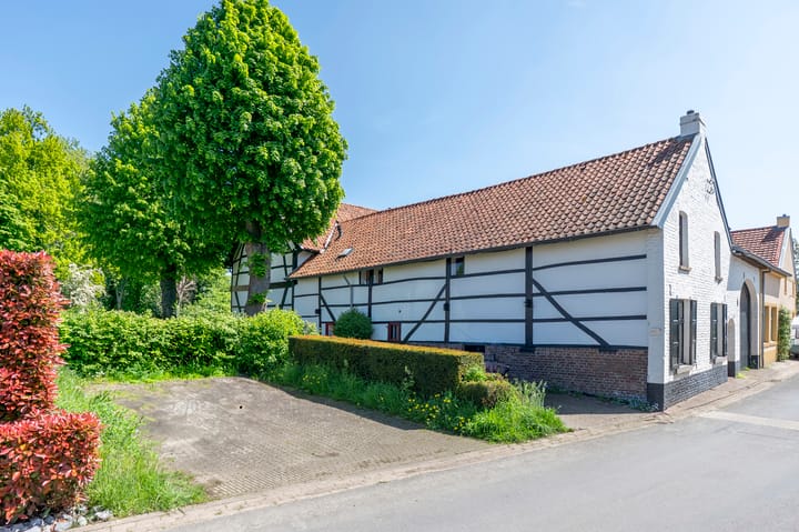 Foto 6 van Grootgenhouterstraat 113