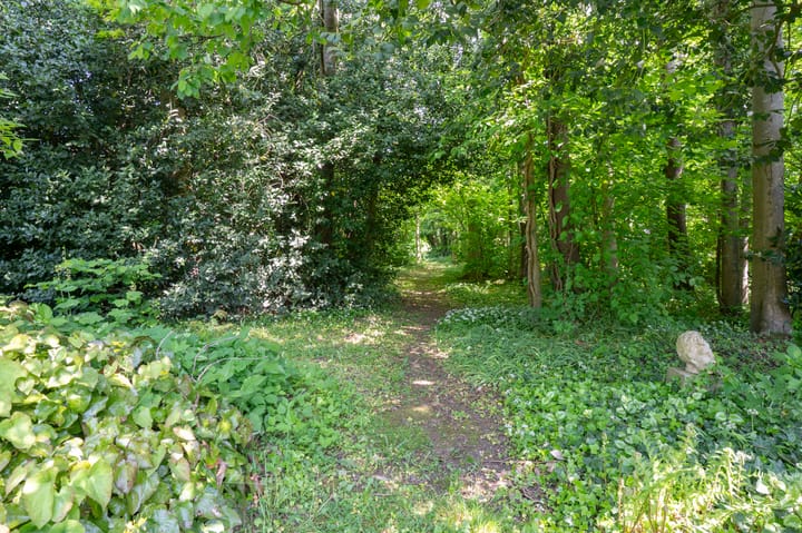 Foto 32 van Grootgenhouterstraat 113