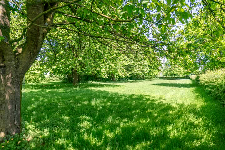 Foto 33 van Grootgenhouterstraat 113