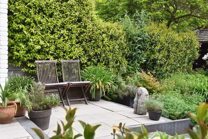 Foto 21 van Paradijsstraat 29