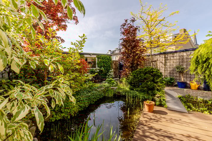 Foto 4 van Plantage 18