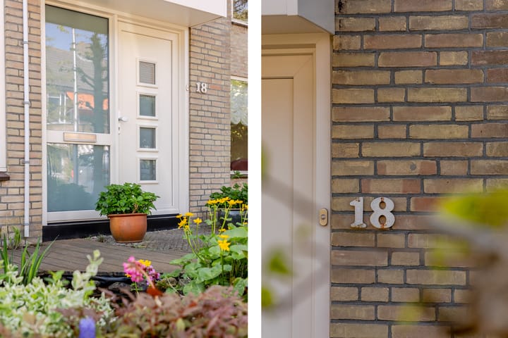 Foto 8 van Plantage 18