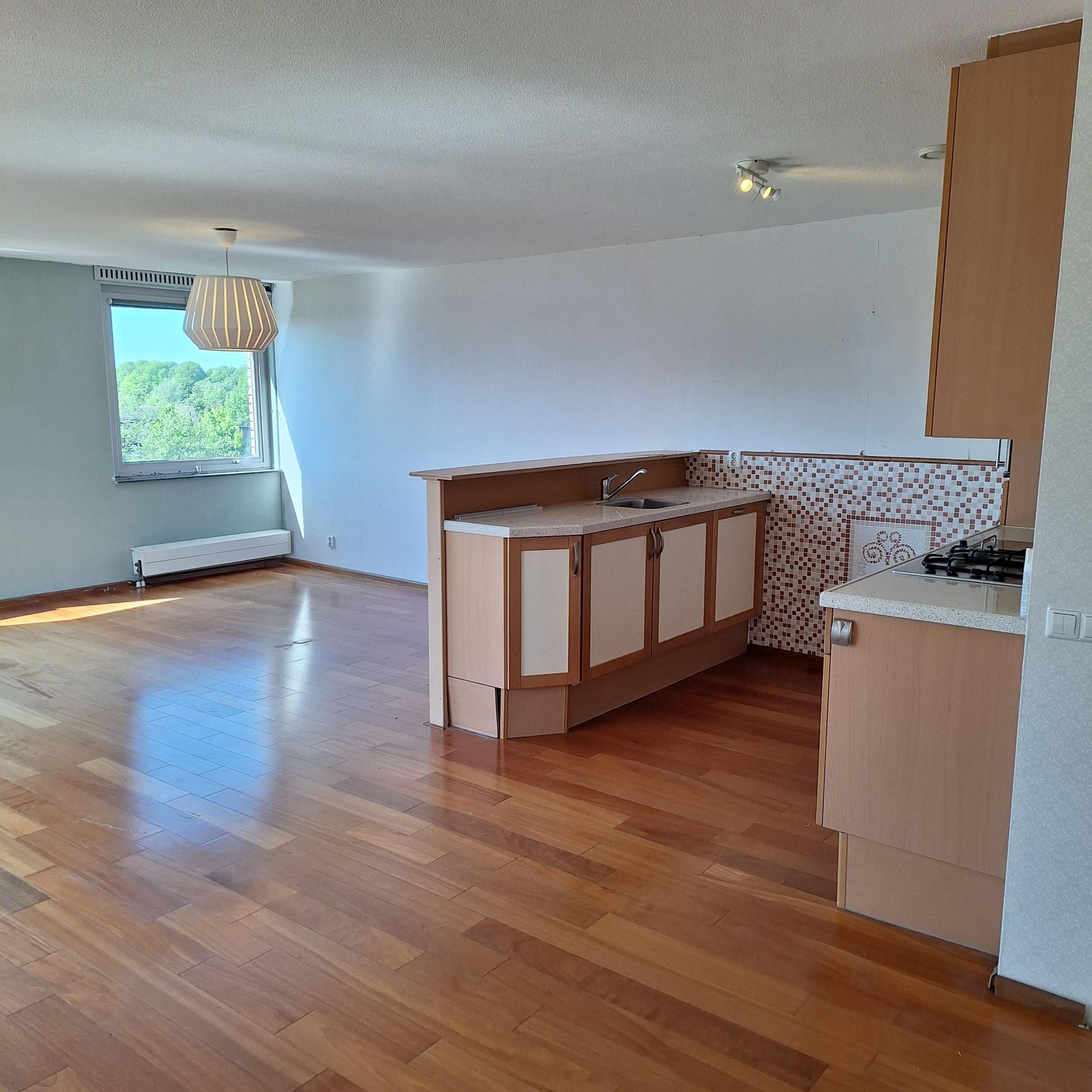 Foto 18 van Gouden Rijderplein 100