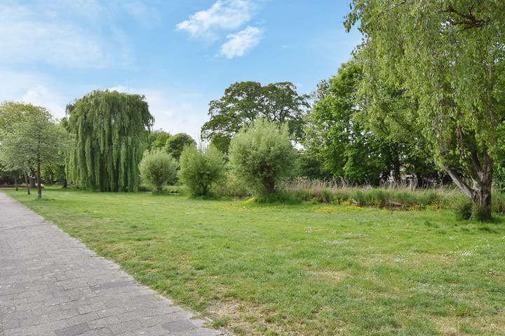 Foto 58 van Paradijsstraat 29