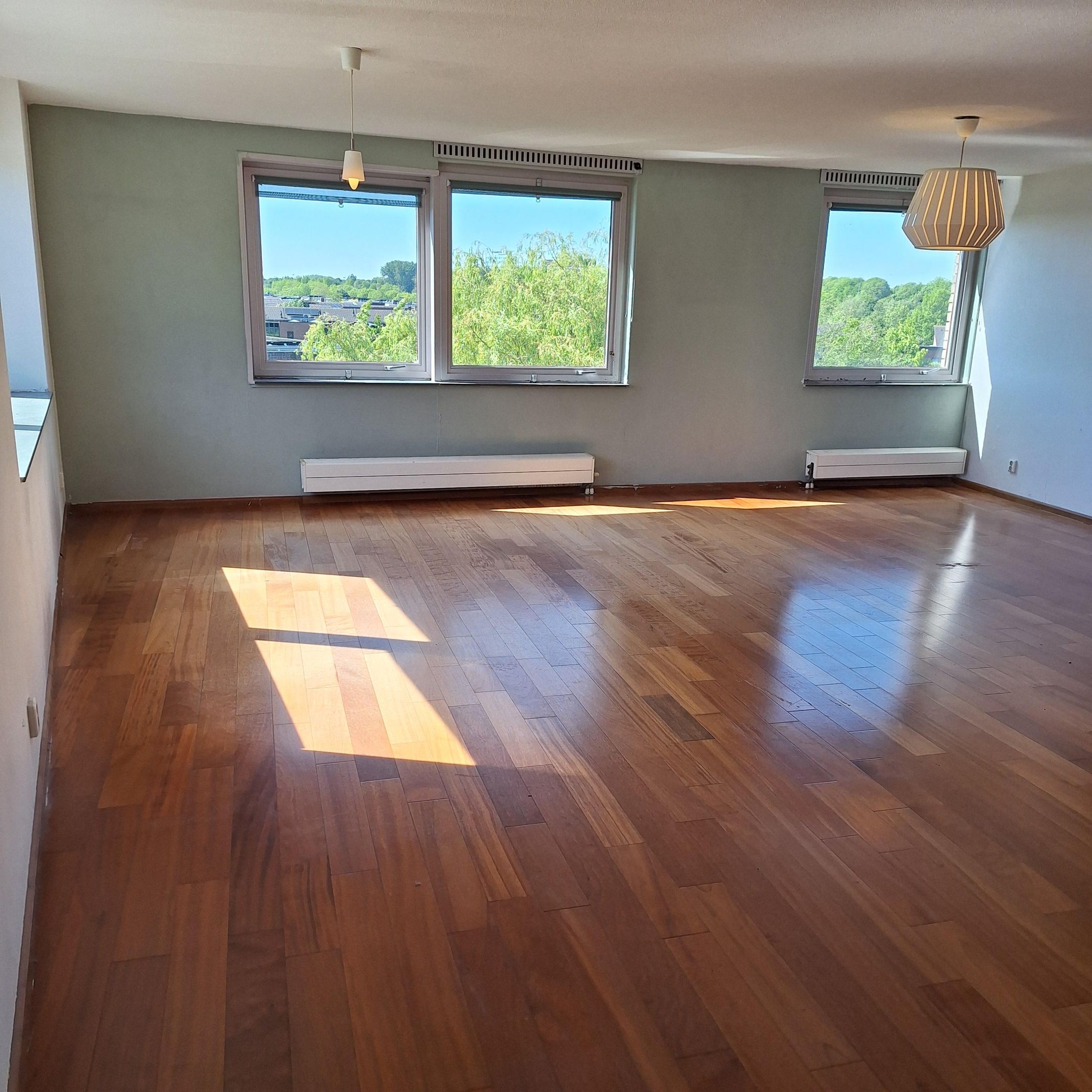 Foto 24 van Gouden Rijderplein 100