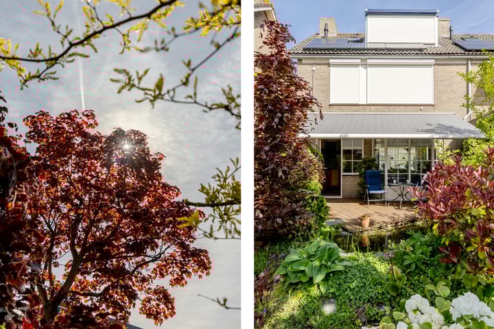 Foto 32 van Plantage 18