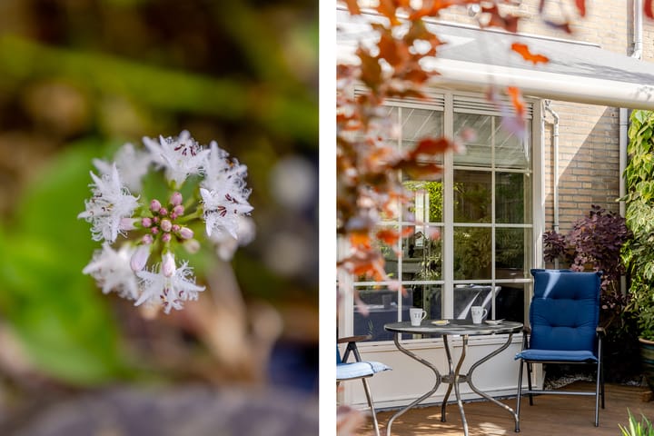 Foto 37 van Plantage 18