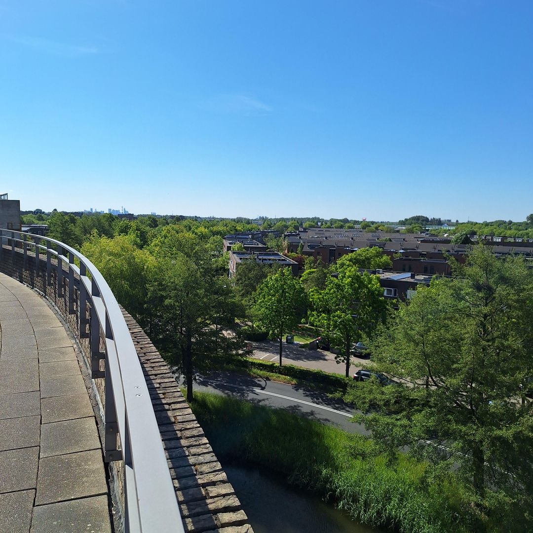 Foto 41 van Gouden Rijderplein 100