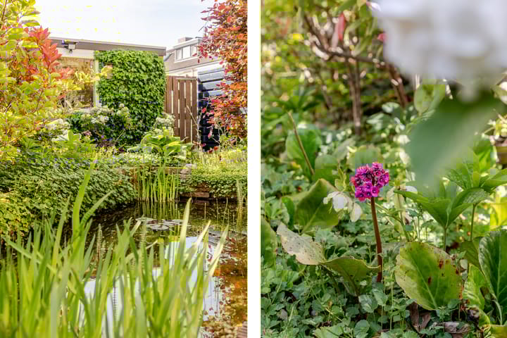 Foto 38 van Plantage 18