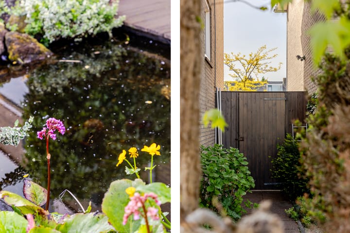 Foto 39 van Plantage 18