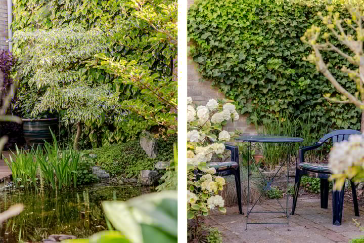 Foto 40 van Plantage 18