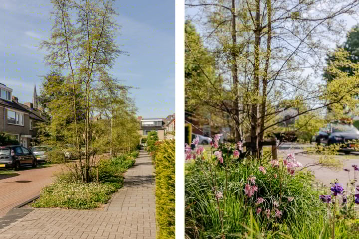 Foto 41 van Plantage 18