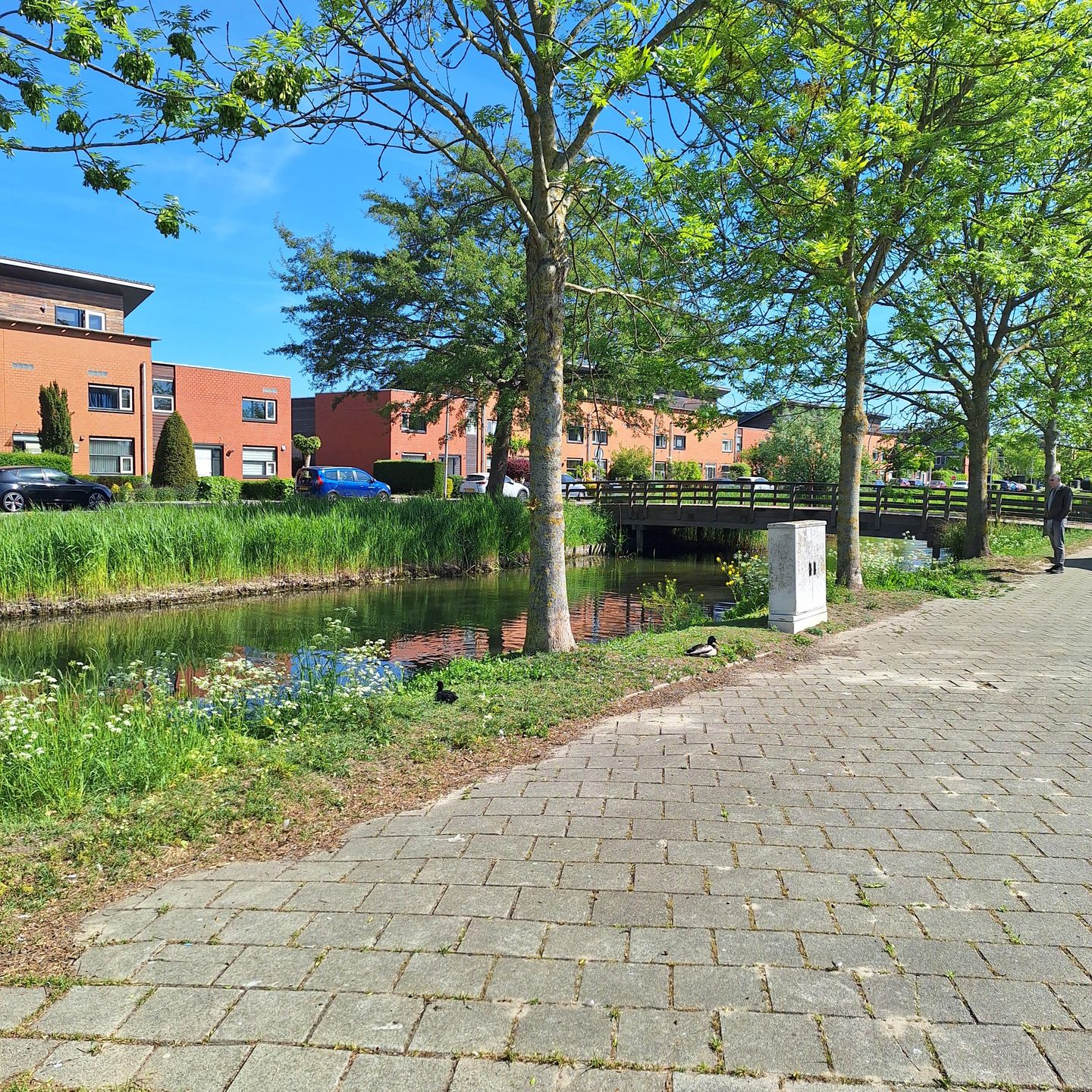 Foto 50 van Gouden Rijderplein 100