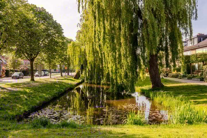 Foto 47 van Plantage 18