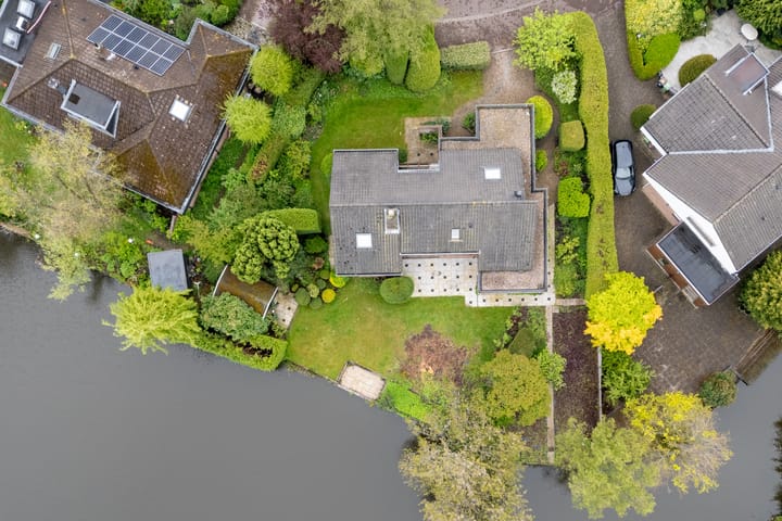 Foto 4 van Moerasvaren 52