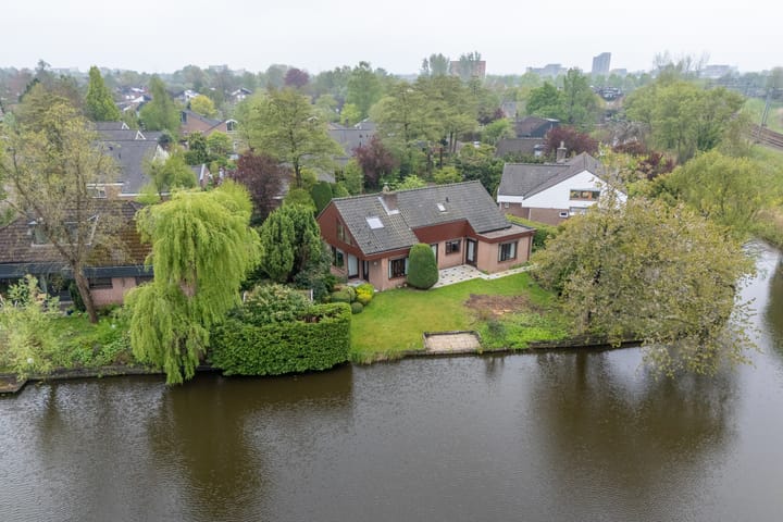 Foto 5 van Moerasvaren 52