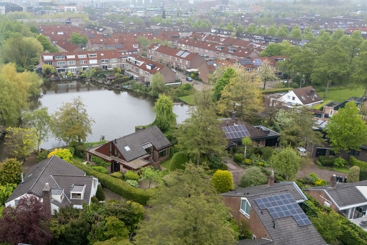 Foto 6 van Moerasvaren 52