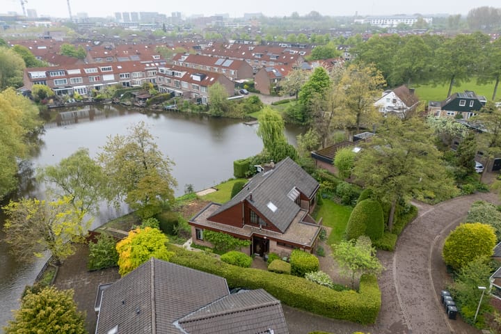 Foto 7 van Moerasvaren 52