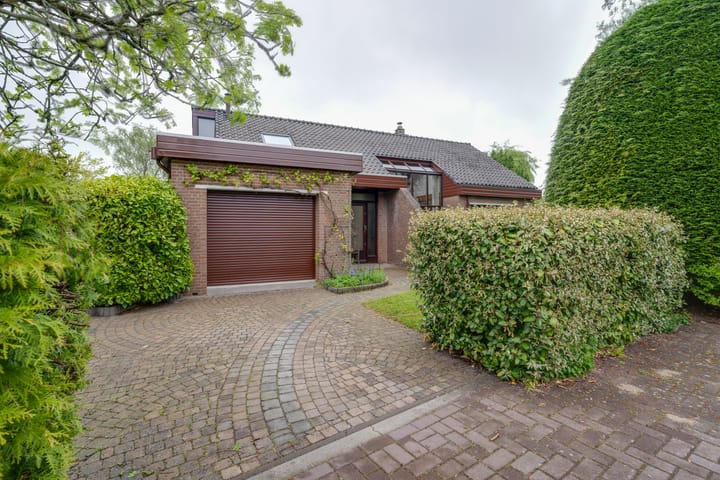 Foto 8 van Moerasvaren 52