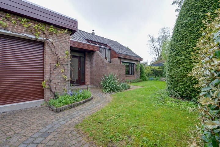 Foto 10 van Moerasvaren 52