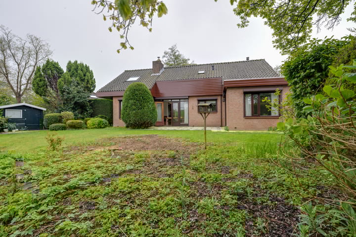 Foto 30 van Moerasvaren 52