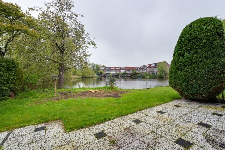 Foto 31 van Moerasvaren 52