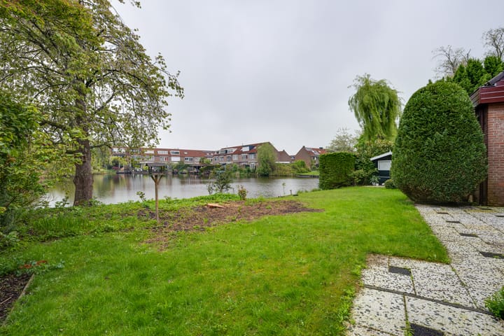 Foto 32 van Moerasvaren 52