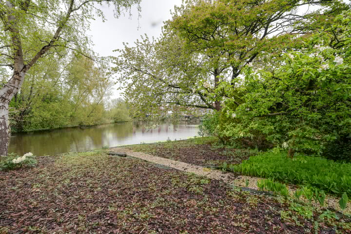 Foto 33 van Moerasvaren 52