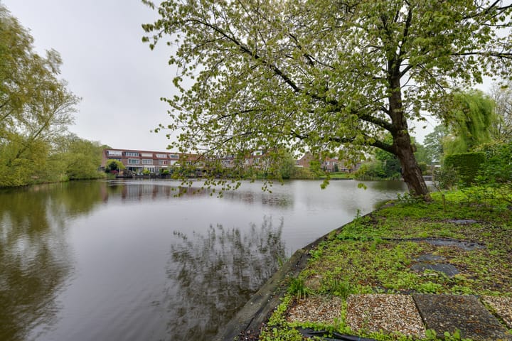 Foto 34 van Moerasvaren 52