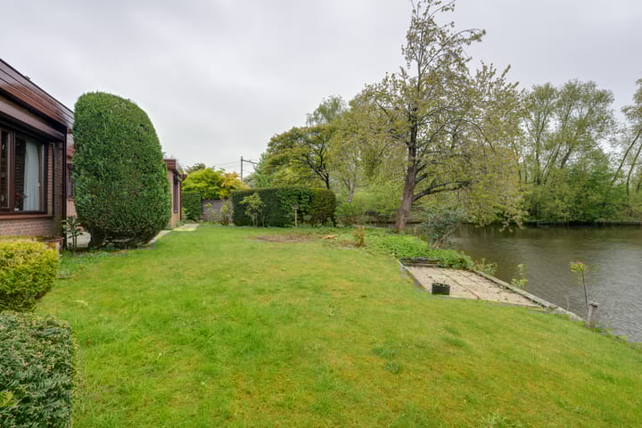 Foto 35 van Moerasvaren 52