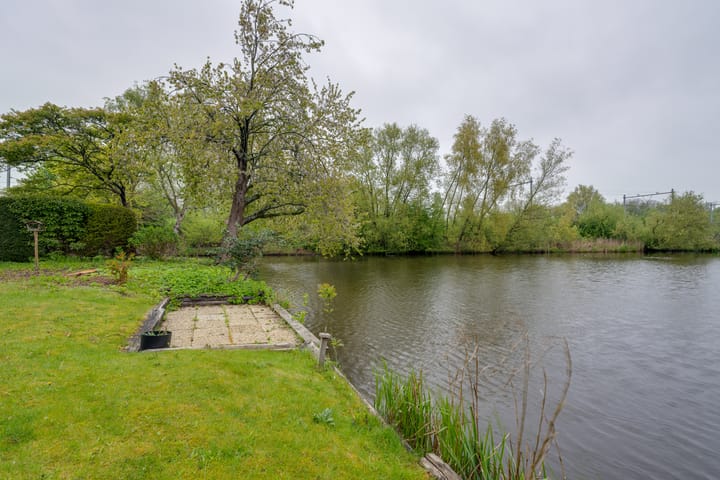 Foto 36 van Moerasvaren 52