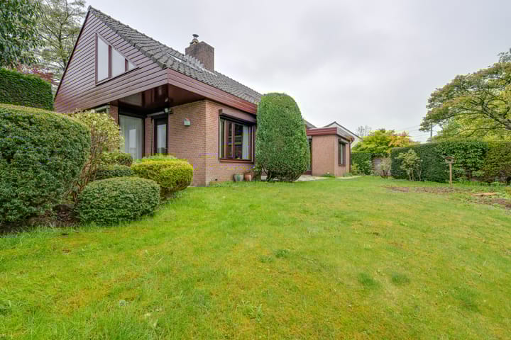 Foto 37 van Moerasvaren 52