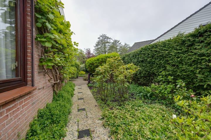 Foto 38 van Moerasvaren 52