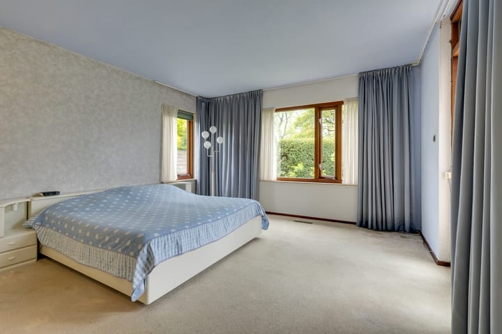 Foto 39 van Moerasvaren 52