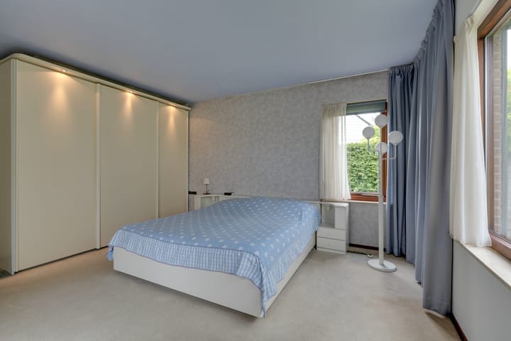 Foto 41 van Moerasvaren 52