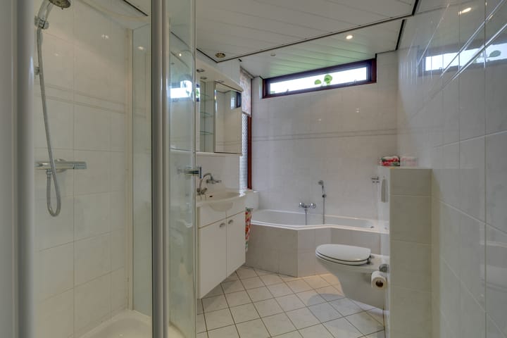 Foto 42 van Moerasvaren 52