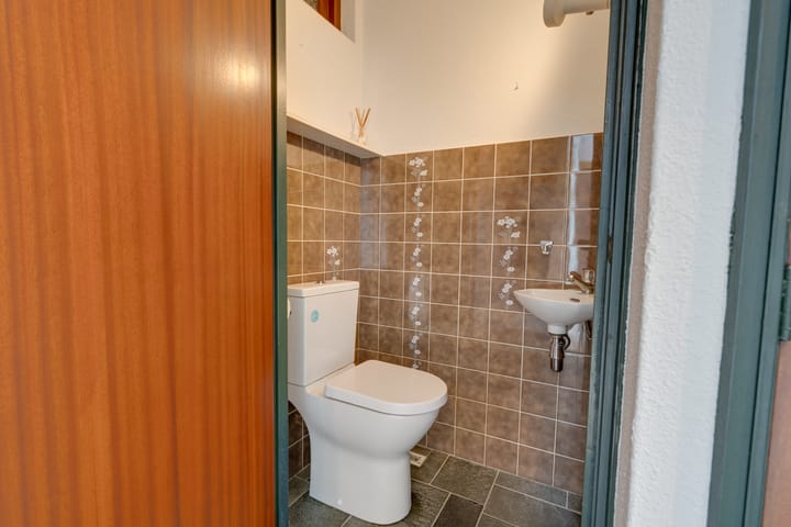 Foto 45 van Moerasvaren 52