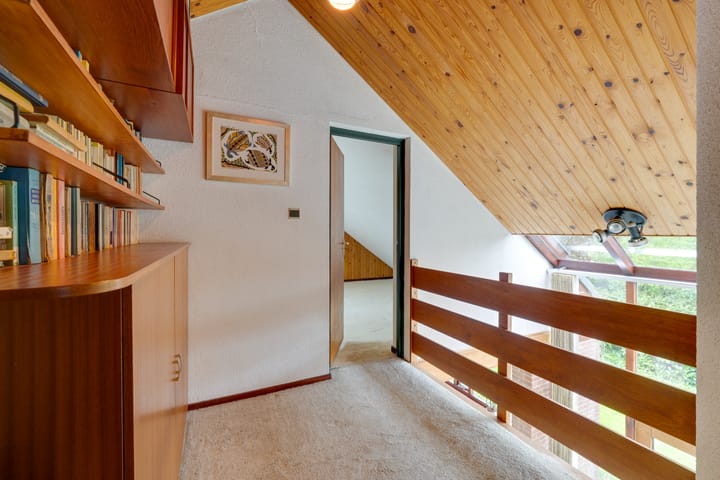 Foto 48 van Moerasvaren 52