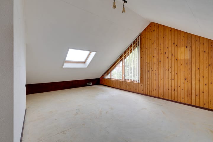 Foto 51 van Moerasvaren 52