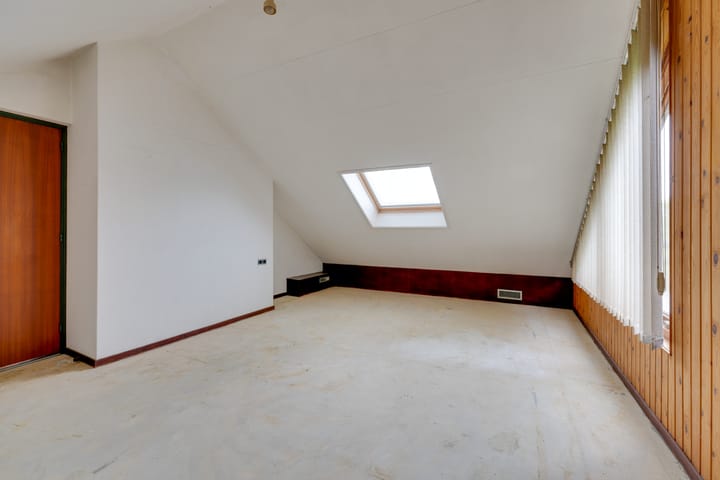 Foto 52 van Moerasvaren 52