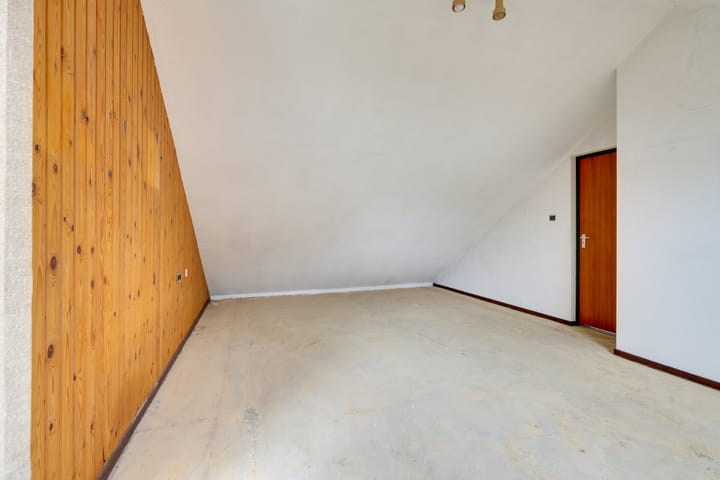 Foto 53 van Moerasvaren 52