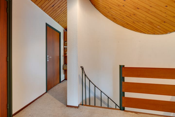 Foto 54 van Moerasvaren 52