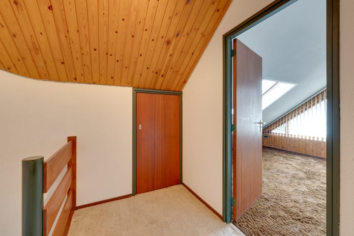 Foto 55 van Moerasvaren 52