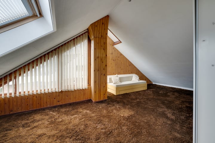 Foto 56 van Moerasvaren 52