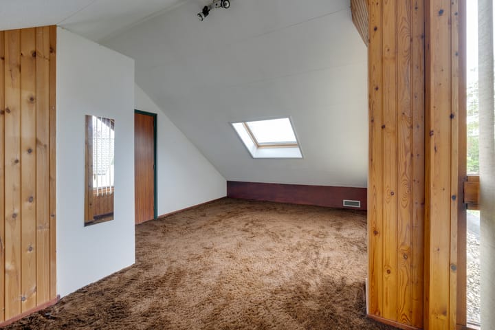 Foto 58 van Moerasvaren 52