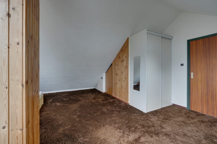 Foto 59 van Moerasvaren 52