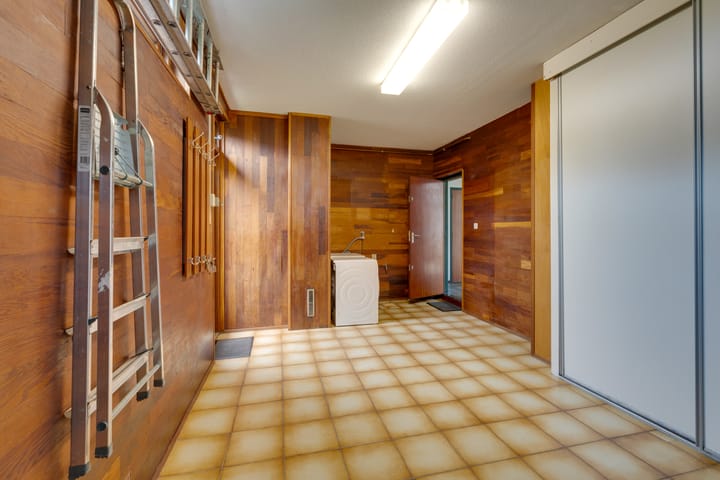 Foto 63 van Moerasvaren 52