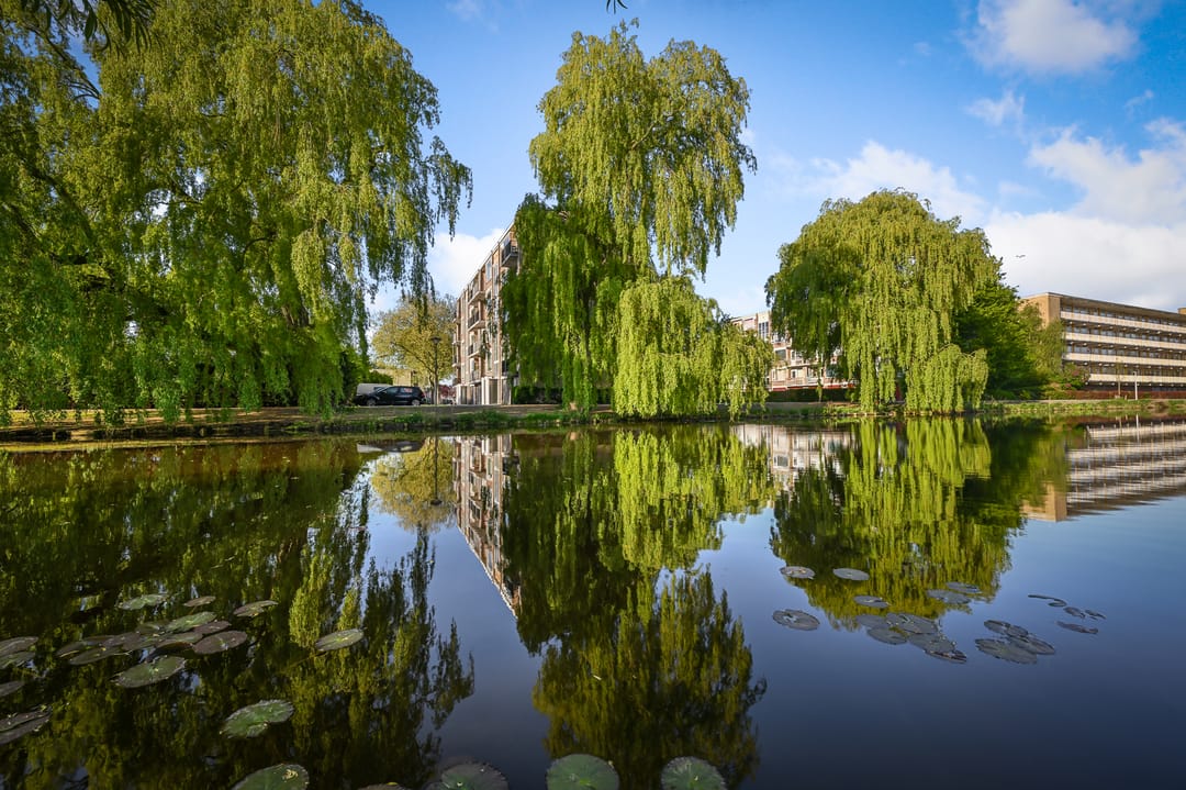 Foto 28 van Kievitstraat 18