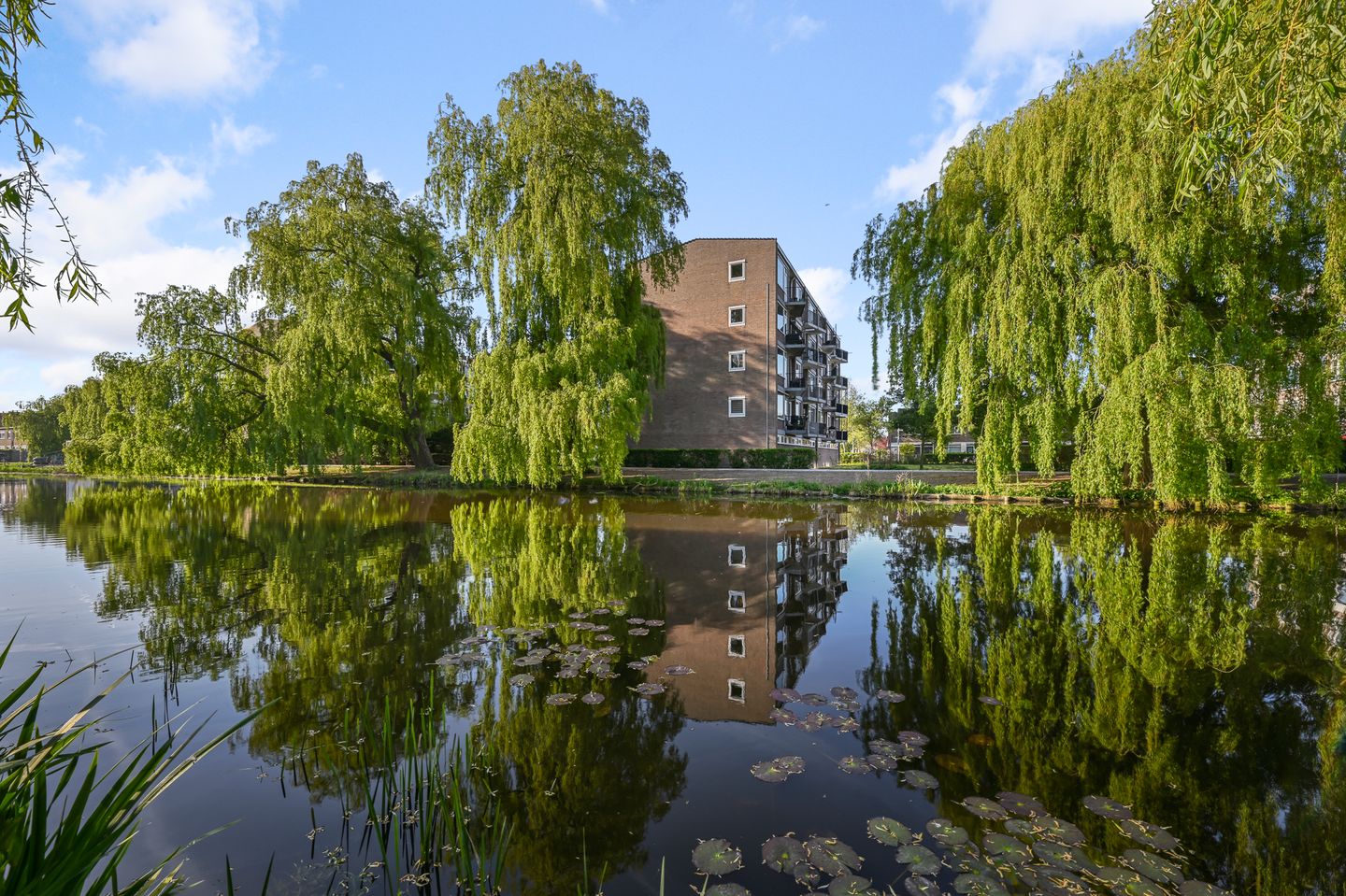 Foto 29 van Kievitstraat 18